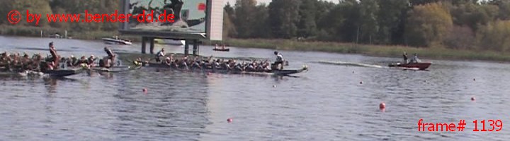 1139.jpg