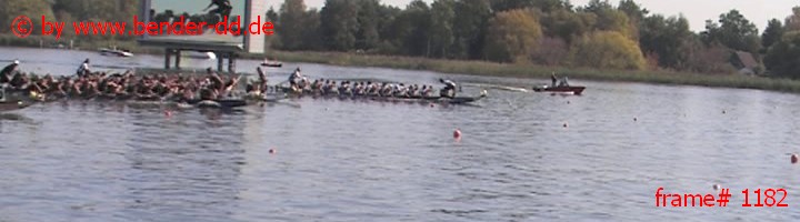 1182.jpg