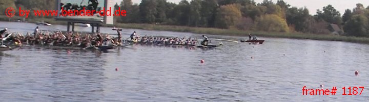 1187.jpg