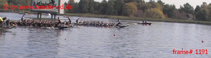 1191.jpg
