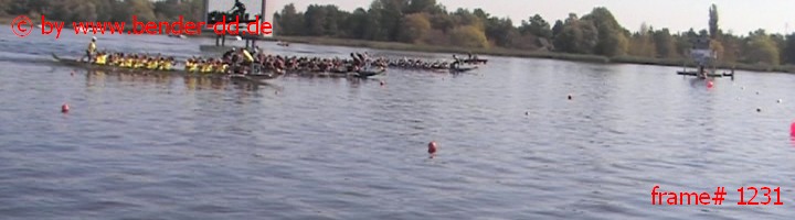 1231.jpg