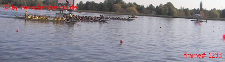1233.jpg