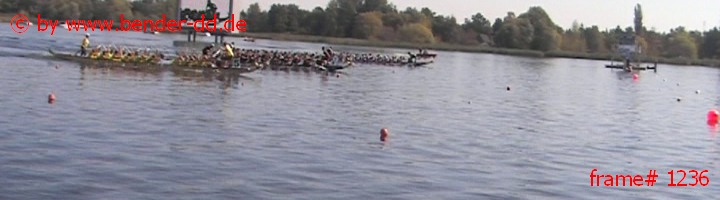 1236.jpg