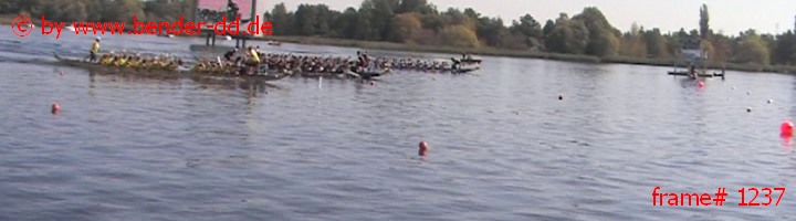 1237.jpg