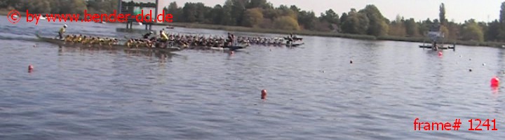 1241.jpg