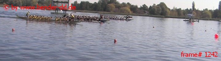 1242.jpg