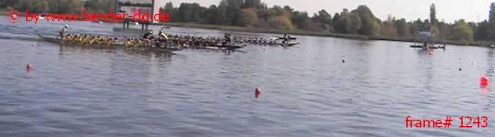 1243.jpg
