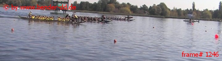 1246.jpg