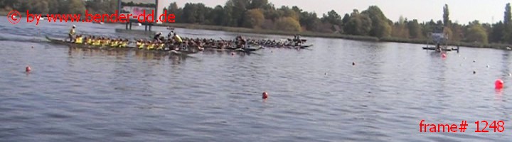 1248.jpg