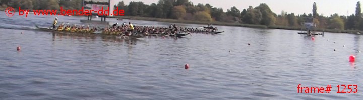 1253.jpg
