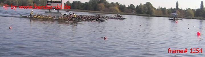 1254.jpg