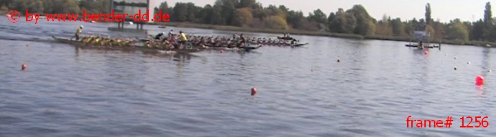 1256.jpg