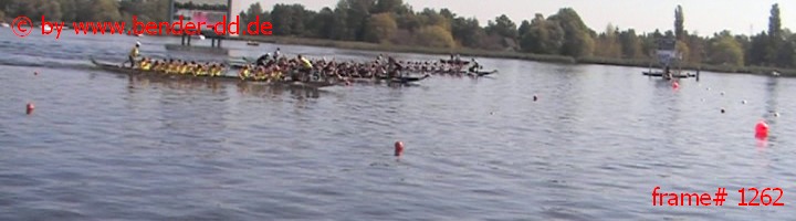 1262.jpg