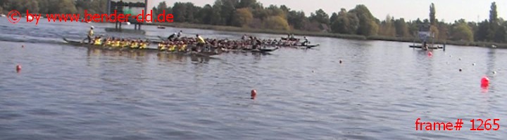 1265.jpg