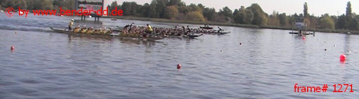 1271.jpg