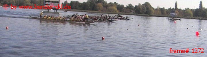 1272.jpg