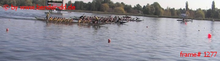 1277.jpg
