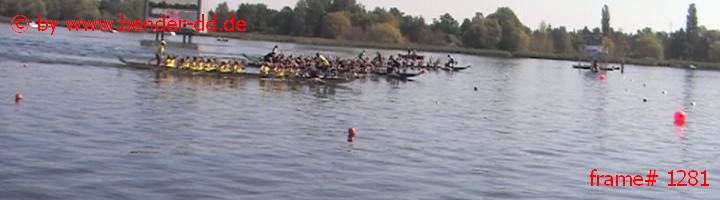 1281.jpg