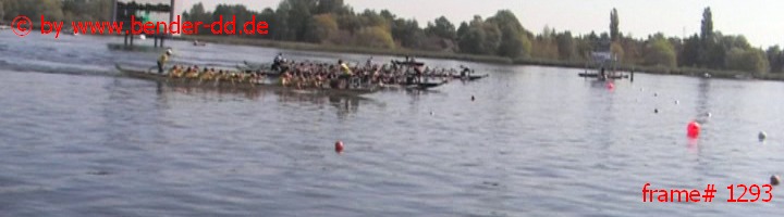 1293.jpg