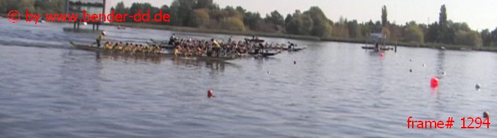 1294.jpg