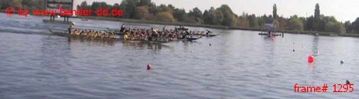 1295.jpg